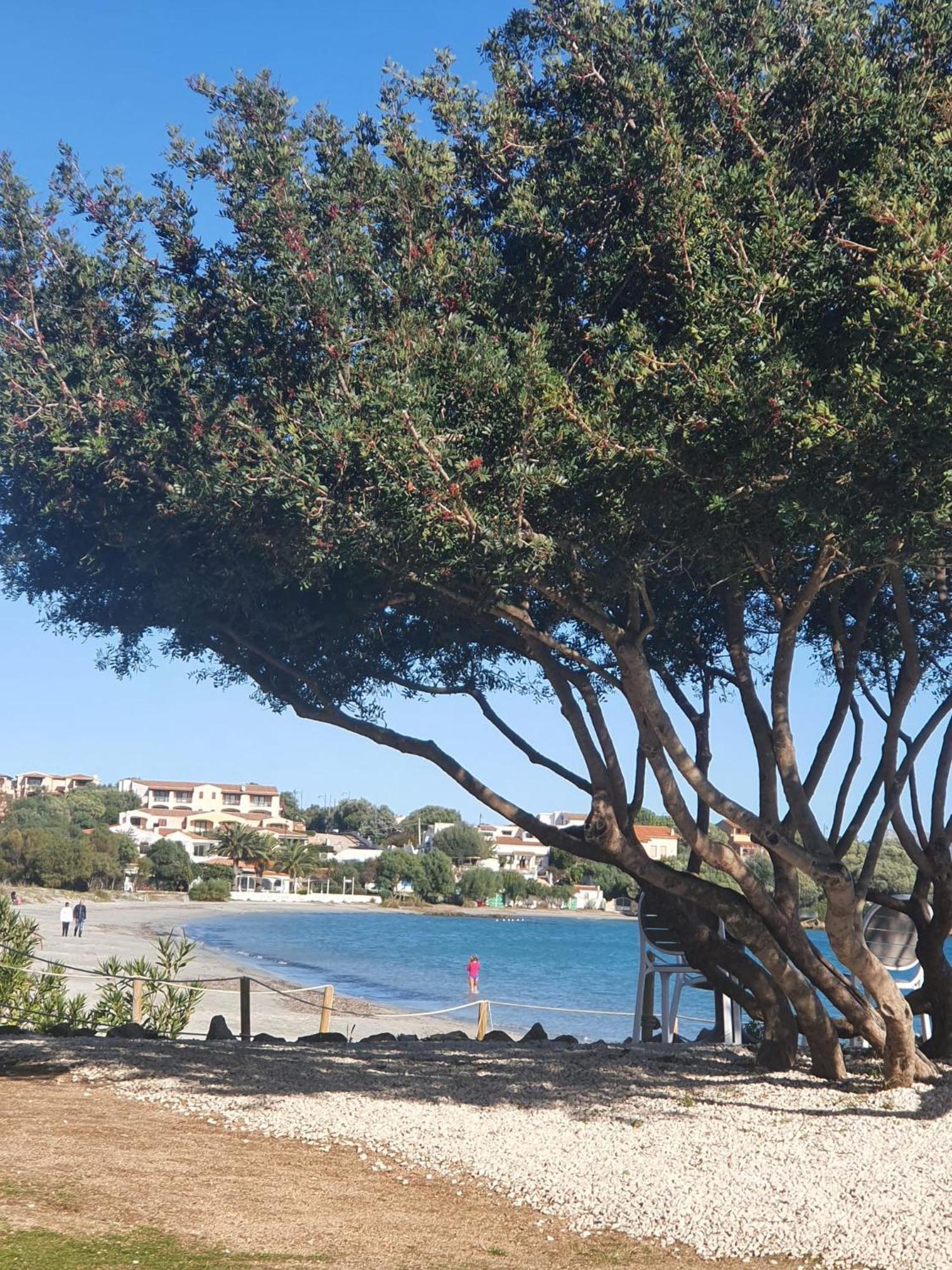 Del Golfo * Olbia
